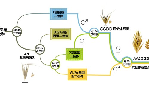 百香果配枸杞蜂蜜一起喝的功效-百香果加枸杞泡水喝的功效网—知名的百香果和大枣枸杞能一起泡水喝吗网站,分享百香果和大枣枸杞能一起泡水喝吗知识