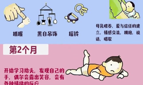 百香果加枸杞泡水喝的功效网—知名的百香果和大枣枸杞能一起泡水喝吗网站,分享百香果和大枣枸杞能一起泡水喝吗知识
